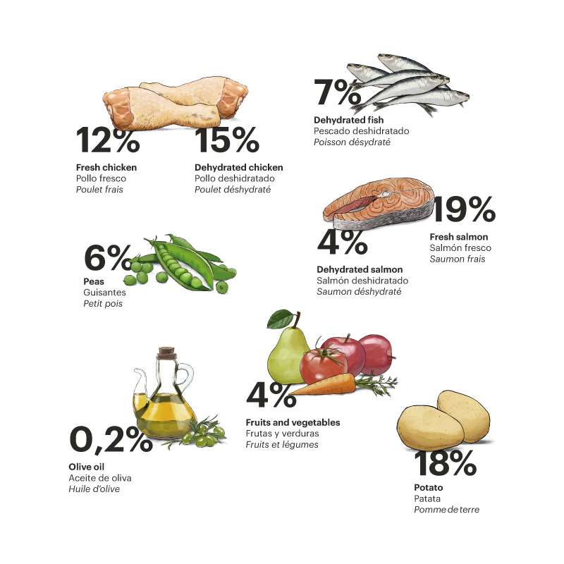 Exclusive Grain Free Cat Adult Chicken with Fish